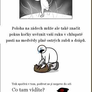 Obrázek 'jak hladit kocku 4'