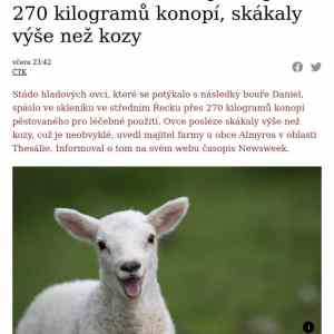 Obrázek 'jak rozesmat ovce'