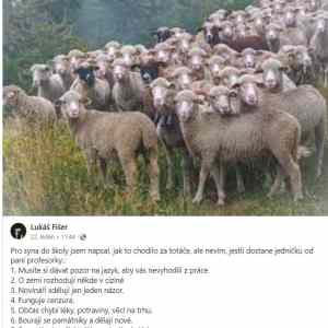 Obrázek 'jak to chodilo za totace'