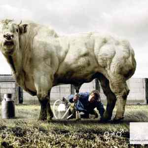 Obrázek 'jak tohle dopadne'