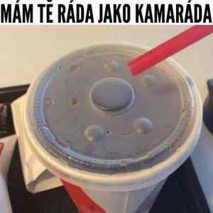 Obrázek 'jako kamarada'