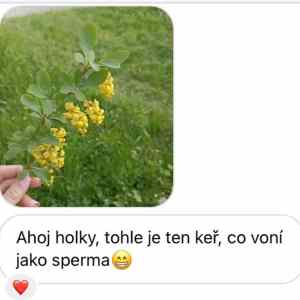 Obrázek 'jako&nbsp;sperma'