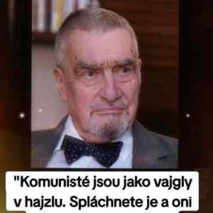 Obrázek 'jako vajgly'