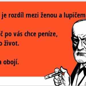 Obrázek 'jaky-je-rozdil-mezi-zenou-a-lupicem-lupic-po-vas-chce-penize-nebo-zivot-zena-...'