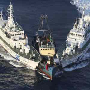 Obrázek 'japan coast guard chinese junk'
