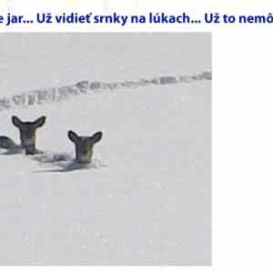 Obrázek 'jar za dverami'