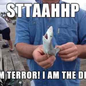 Obrázek 'jaws&nbsp;19'