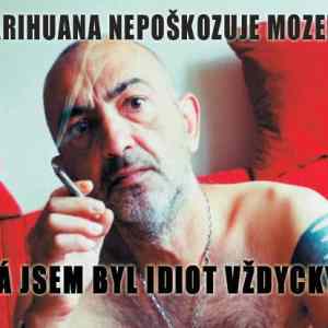 Obrázek 'jd'