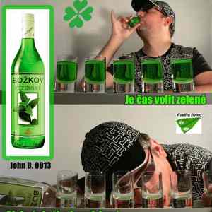 Obrázek 'je cas volit zelene'