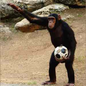 Obrázek 'je to aut'