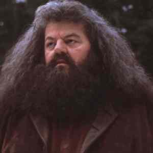 Obrázek 'je&nbsp;to&nbsp;borec'