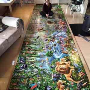 Obrázek 'jedna ma kocky jina ma puzzle'