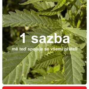 Obrázek 'jedna sazba'