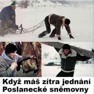 Obrázek 'jednani snemovky'