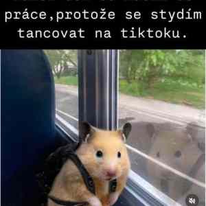 Obrázek 'jen tvoje chyba'