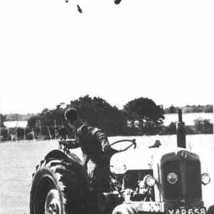 Obrázek 'jet crash into a field'