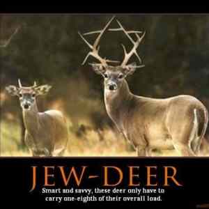 Obrázek 'jew everywhere'