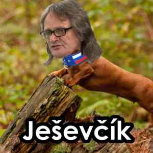 Obrázek 'jezevsik'
