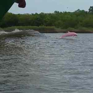 Obrázek 'jiz kaslu na drogy'