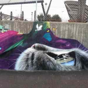 Obrázek 'just a vandalism'