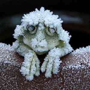 Obrázek 'just&nbsp;chilling&nbsp;out'