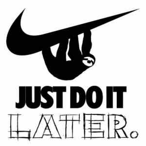 Obrázek 'just do it later'