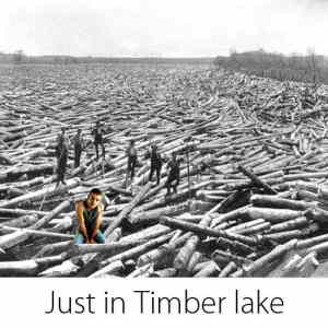 Obrázek 'just in timber lake'