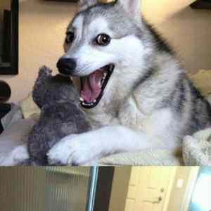 Obrázek 'just like cinderella'