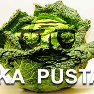 Obrázek 'ka pusta'