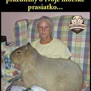 Obrázek 'kapybara'