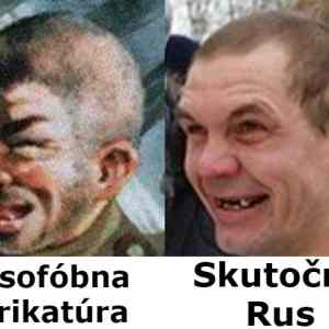 Obrázek 'karikatura vs realita'