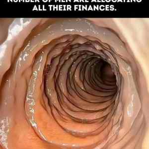 Obrázek 'kde muzi alokuji vsechny finance'