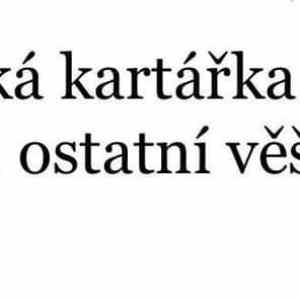 Obrázek 'kdo by to cekal'