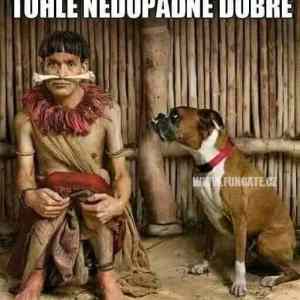 Obrázek 'kdo kousne koho'