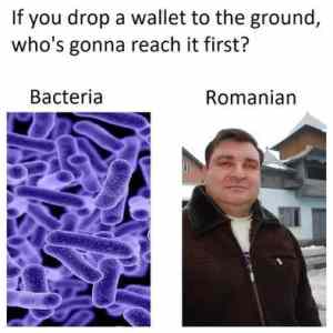 Obrázek 'kdo prijme vyzvu jako prvni'