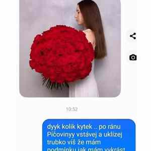 Obrázek 'kdyz mas kluka z Usti'