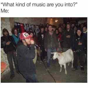 Obrázek 'kind of music'