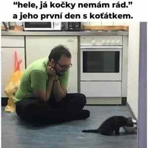 Obrázek 'kocka je chytre zvire'