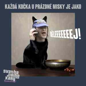 Obrázek 'kocka&nbsp;u&nbsp;misky'