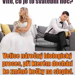 Obrázek 'kockoslep'