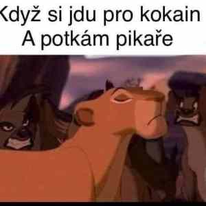 Obrázek 'kokes master'