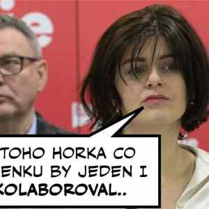 Obrázek 'kolaboranti'