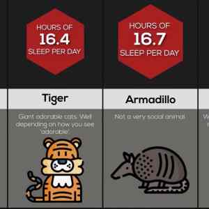 Obrázek 'kolko hodin denne chrapu'