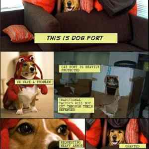 Obrázek 'koma-comic-strip-imperial-dog-walker1'