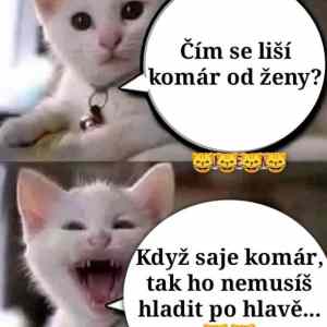 Obrázek 'komar saje'