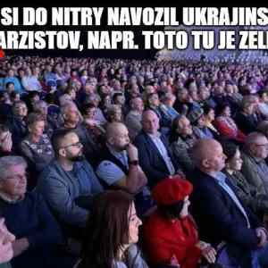 Obrázek 'komparzista UA'