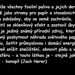 Obrázek 'konopi97'