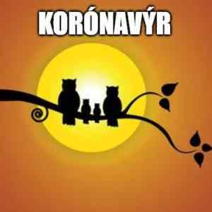 Obrázek 'koronavyr' Obrázek 'koronavyr'