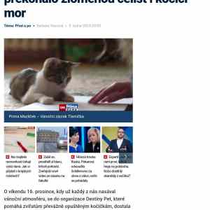 Obrázek 'kot sklib'