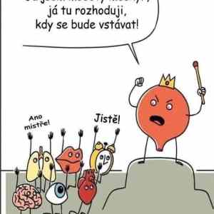 Obrázek 'kral mech'